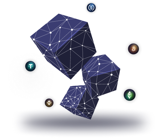 Blockchain Network